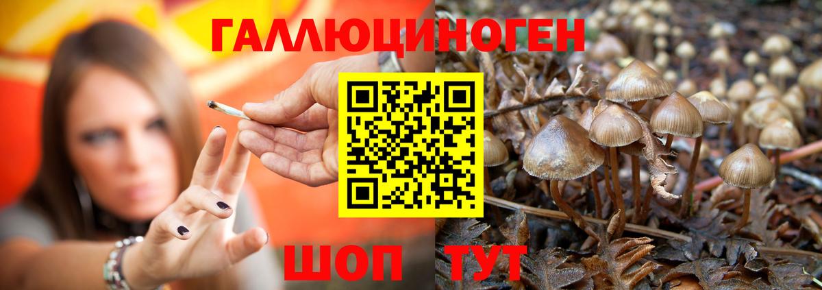 Кашира  Псилоцибиновые грибы Magic Shrooms  Галлюциногенные грибы Magic Shrooms  Вход с VPN 