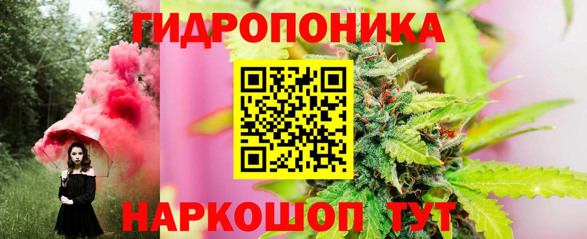 Шишки марихуана LSD WEED  Вход с VPN  Каннабис White Widow  Каннабис план  Кашира  Конопля конопля 